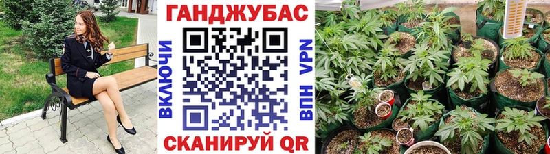Где купить наркотики Петров Вал Бутират  Мефедрон  COCAIN  Псилоцибиновые грибы  Марихуана  ГАШ  A PVP 