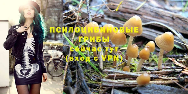 a pvp Новодвинск