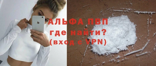 a pvp Новодвинск