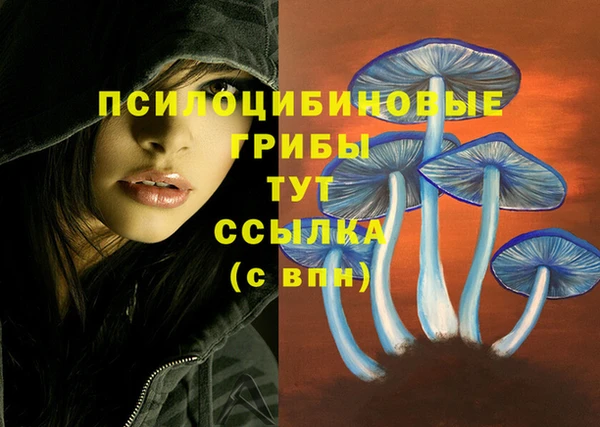 a pvp Новодвинск