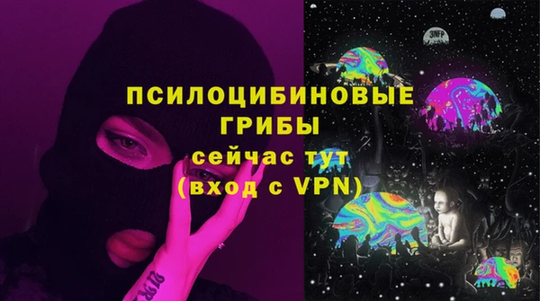 a pvp Новодвинск