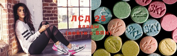 стафф Кондопога