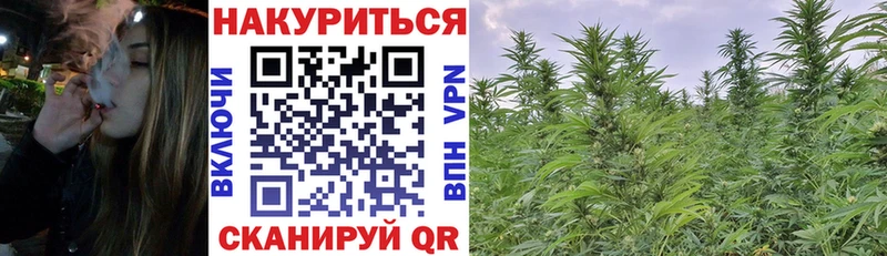 Шишки марихуана семена  магазин продажи наркотиков  Петров Вал 
